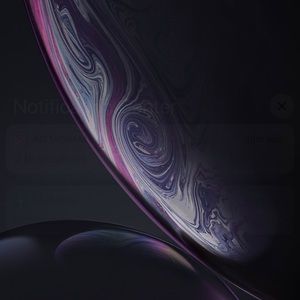 Meet your Posher, Antonio